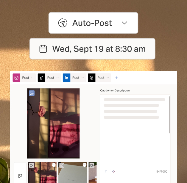 A Planoly calendar showing scheduled posts across social channels.