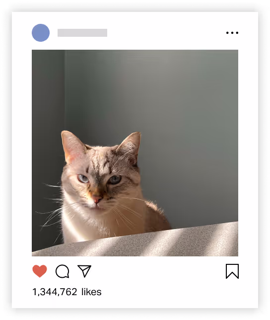 A post preview in Planoly